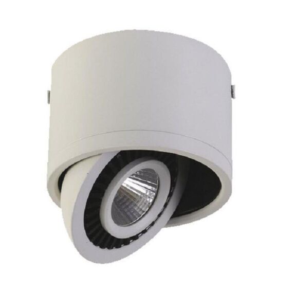 1776-1C, потолочный светильник, D112xH85, 1xLEDx12W, AC:100-240V, 960LM, RA>80, IP21, 960LM, 4000K, included, изображение 2