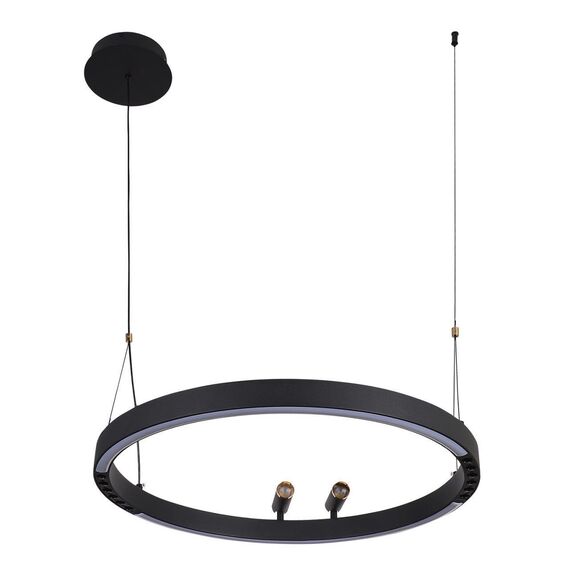 4474-1P, подвесная люстра, D600xH1000/1800, LEDx58W + 2xLEDx3W, 1860LM, 3000-6500K, included, remote control, изображение 6