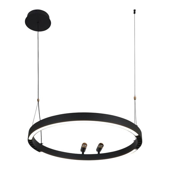 4474-1P, подвесная люстра, D600xH1000/1800, LEDx58W + 2xLEDx3W, 1860LM, 3000-6500K, included, remote control, изображение 7