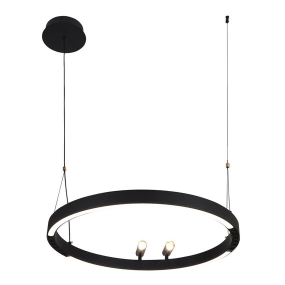 4474-1P, подвесная люстра, D600xH1000/1800, LEDx58W + 2xLEDx3W, 1860LM, 3000-6500K, included, remote control