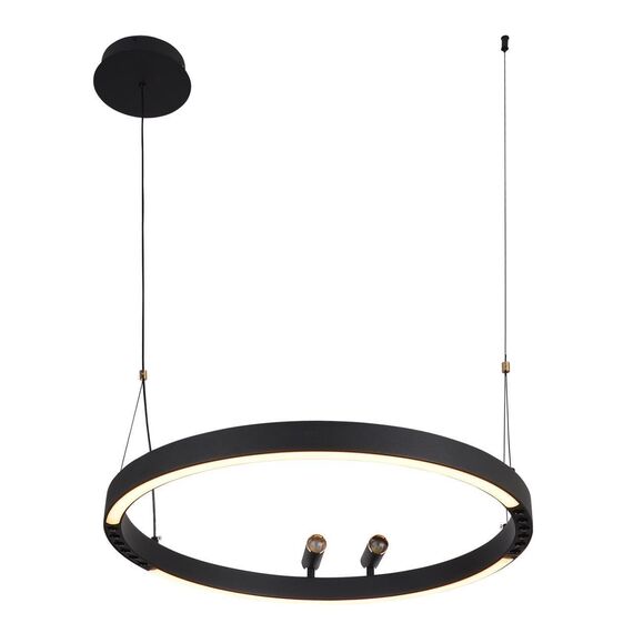 4474-1P, подвесная люстра, D600xH1000/1800, LEDx58W + 2xLEDx3W, 1860LM, 3000-6500K, included, remote control, изображение 5