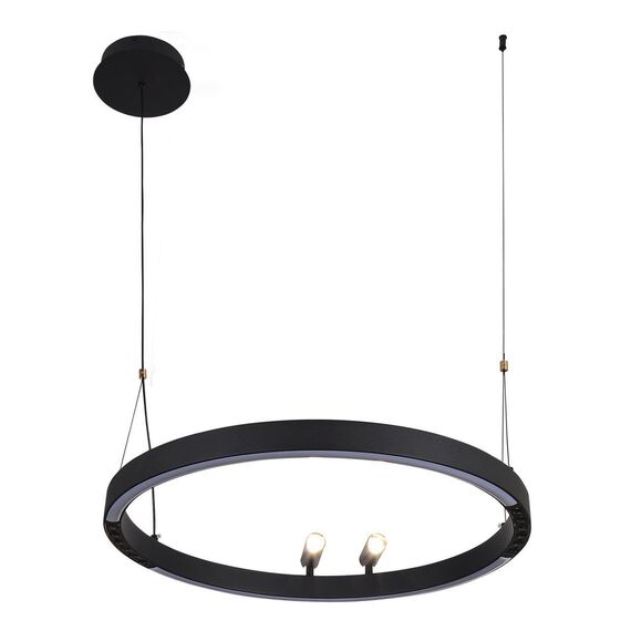 4474-1P, подвесная люстра, D600xH1000/1800, LEDx58W + 2xLEDx3W, 1860LM, 3000-6500K, included, remote control, изображение 2