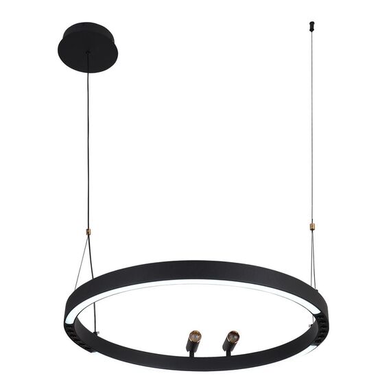 4474-1P, подвесная люстра, D600xH1000/1800, LEDx58W + 2xLEDx3W, 1860LM, 3000-6500K, included, remote control, изображение 4