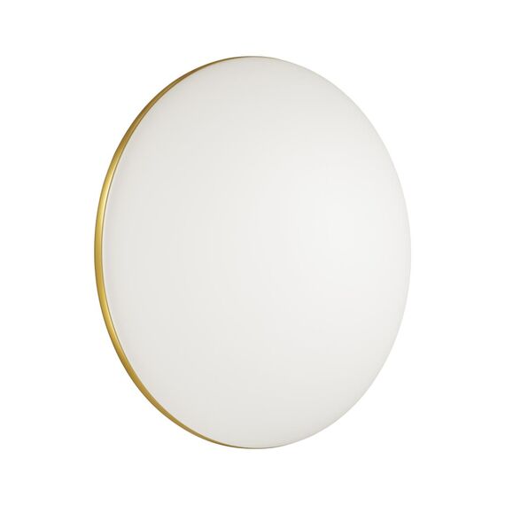 Настенно-потолочные светильники Sonex 3043/DL