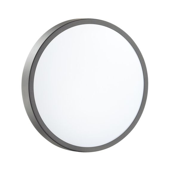 Настенно-потолочные светильники Sonex 3012/AL