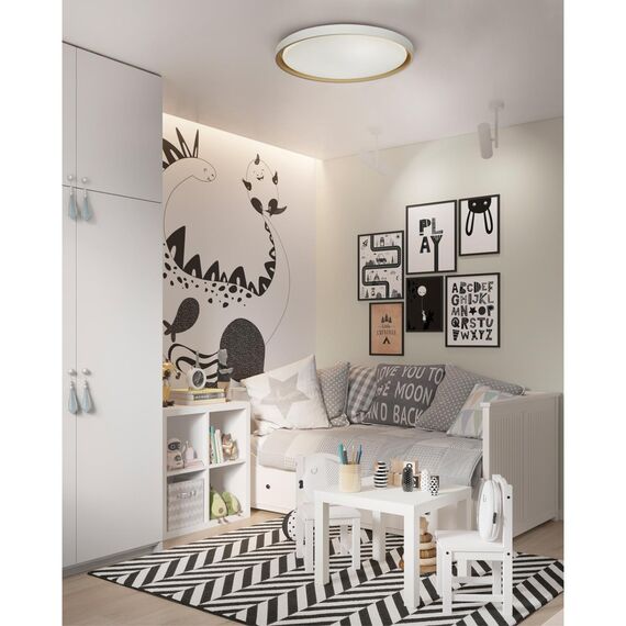 Настенно-потолочные светильники Sonex 7645/DL, изображение 3