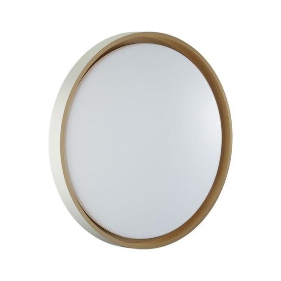 Настенно-потолочные светильники Sonex 7645/DL