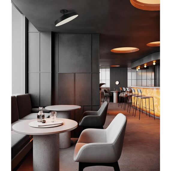 Настенно-потолочные светильники Sonex 7656/48L, изображение 3