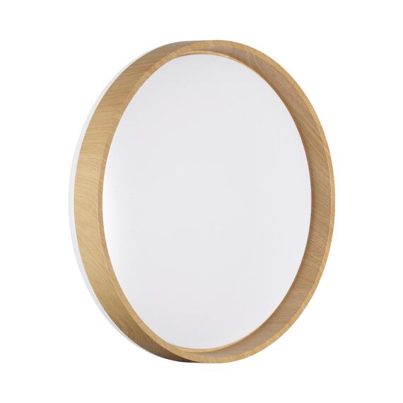 Настенно-потолочные светильники Sonex 7684/DL