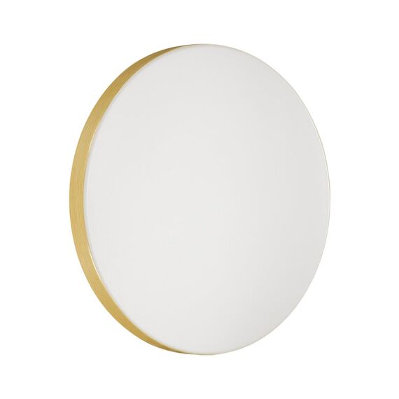 Настенно-потолочные светильники Sonex 3066/AL