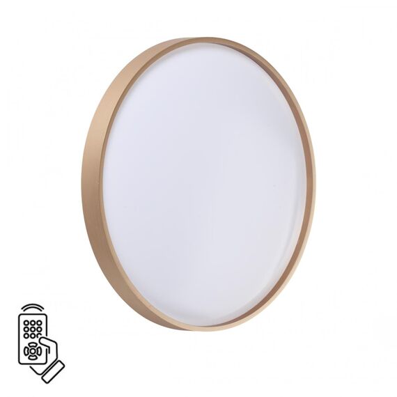 Настенно-потолочные светильники Sonex 7783/DL