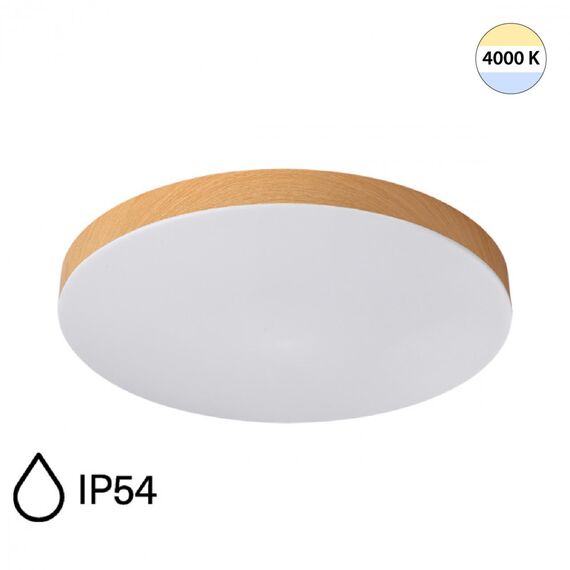 Настенно-потолочные светильники Sonex 7761/24L