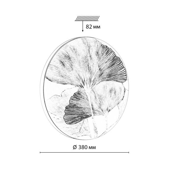Настенно-потолочные светильники Sonex 7747/DL, изображение 2