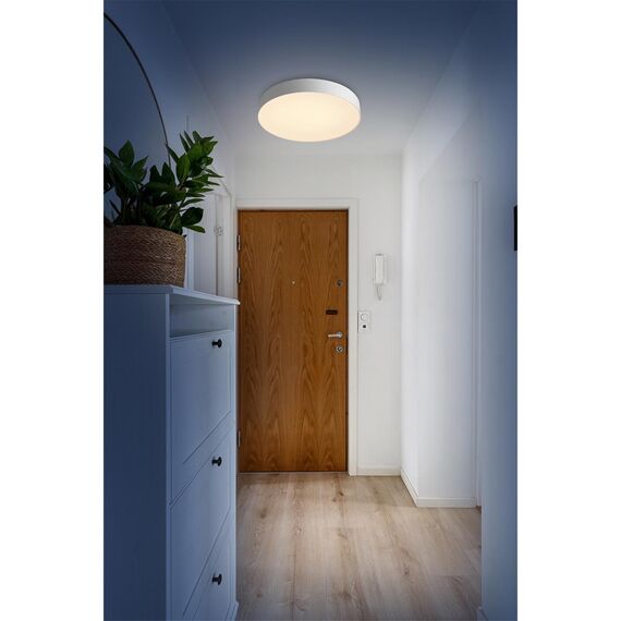 Настенно-потолочные светильники Sonex 7779/EL, изображение 3