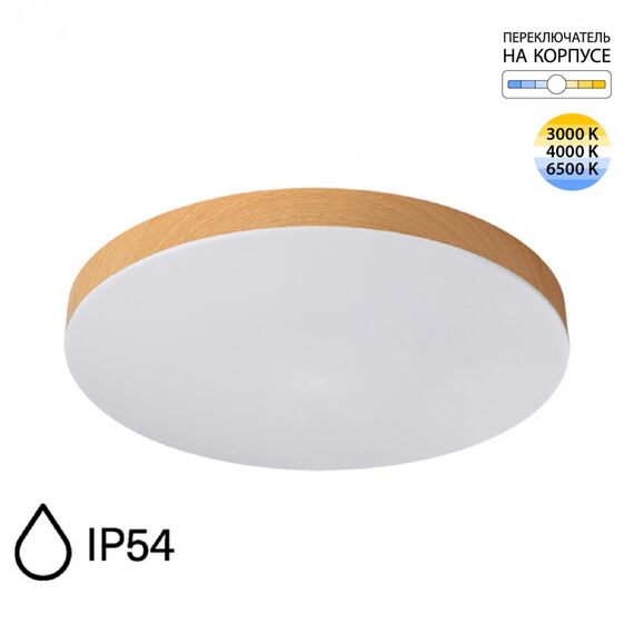 Настенно-потолочные светильники Sonex 7761/50L