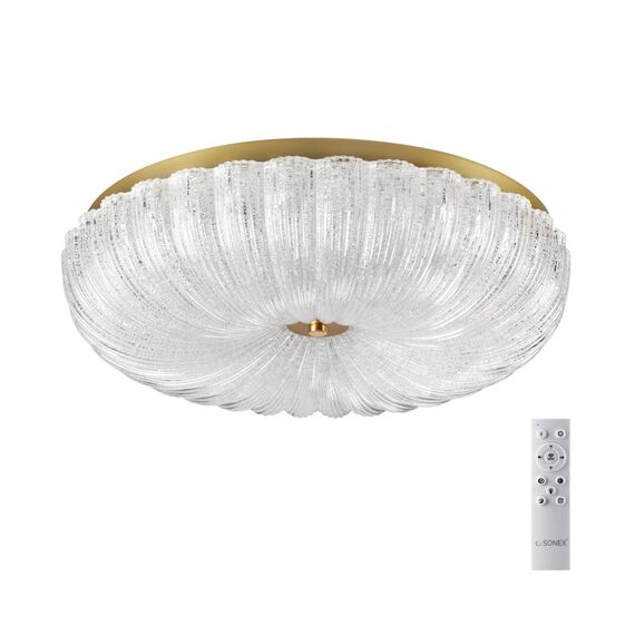 Настенно-потолочные светильники Sonex 7719/60L