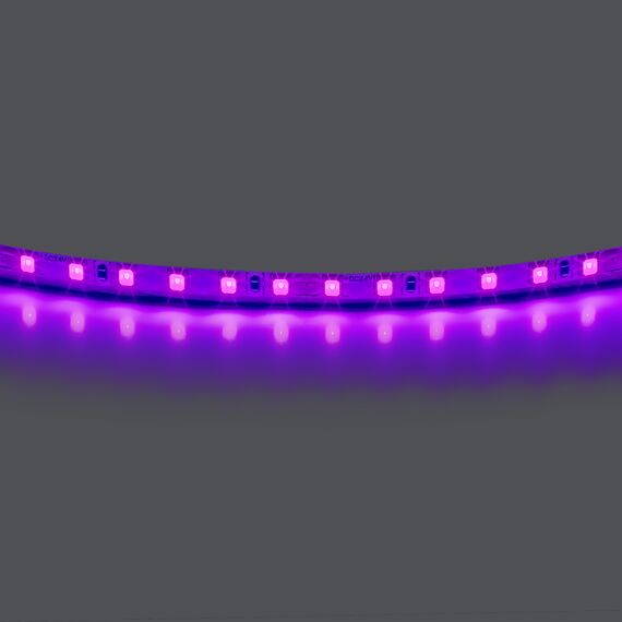 420518 Лента LIGHTSTAR LED 24V 12W 120leds/M 1600 LM/M purple IP20 1шт = 5м
