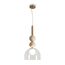 Подвесной светильник Freya FR5482PL-01BS