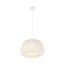 Подвесной светильник Maytoni MOD409PL-01W