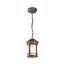 Подвесной светильник Outdoor O031PL-01BR