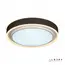 Потолочный светильник iLedex Summery B6233-91W/520 WH, изображение 3