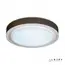 Потолочный светильник iLedex Summery B6233-91W/520 WH, изображение 6