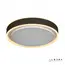 Потолочный светильник iLedex Summery B6233-91W/520 WH, изображение 7