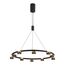 Люстра подвесная Lussole LSP-7253