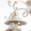 Потолочная люстра Arte Lamp GRAZIOSO A4577PL-5WG, изображение 3
