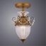 Потолочный светильник Arte Lamp SCHELENBERG A4410PL-1SR, изображение 2