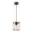 Подвесной светильник Arte Lamp DUBLIN A7025SP-1BK