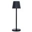 Уличный настольный светильник Arte Lamp FUYUE A1616LT-1BK, изображение 3