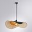 Подвесной светильник Arte Lamp WOODSTOCK A7063SP-1BK, изображение 2