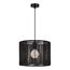 SLE6024-403-01 Светильник подвесной черный/черный E27 1*40W ETTAN, изображение 2