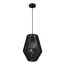 SLE6025-413-01 Светильник подвесной черный/черный E27 1*40W ETTAN, изображение 3