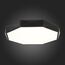 SLE200842-01 Светильник потолочный Черный/Белый LED 1*45W 3000K/4000K/6000K RONDO, изображение 2
