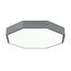 SLE200872-01 Светильник потолочный Серый/Белый LED 1*45W 3000K/4000K/6000K RONDO, изображение 9
