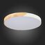 SLE200952-01 Светильник потолочный Белый, Светлое дерево/Белый LED 1*45W 3000K/4000K/6000K FESTA, изображение 11