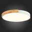 SLE201352-01 Светильник потолочный Белый, Светлое дерево/Белый LED 1*40W 3000K/4000K/6000K DELIA, изображение 5