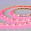 ST019.418.20RGBW Светодиодная лента SMD5050 - 17.28W/M RGB+4000K 300Lm Ra>90 IP20 L1 000xW10xH- 24V Светодиодные ленты, изображение 5