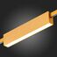 ST817.206.12 Магнитный трековый светильник FARM Золотистый LED 1*12W 3000K 580Lm Ra90 120 IP20 L232x FARM, изображение 2