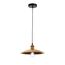 SL1017.203.01 Светильник подвесной ST-Luce Черный/Золотистый E27 1*60W ROMO, изображение 3