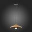 SL1017.203.01 Светильник подвесной ST-Luce Черный/Золотистый E27 1*60W ROMO, изображение 5