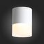ST100.502.15 Светильник потолочный Белый LED 1*15W 3000K 1 170Lm Ra>80 120° D118xH150 170-240V Накладные светильники, изображение 2