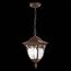 SL083.703.01 Светильник уличный подвесной ST-Luce Кофейный/Кофейный, Прозрачный E27 1*60W CHIANI, изображение 4