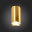 ST110.207.01 Светильник потолочный Золотистый GU10 1*50W  IP20 D54xH100 220V Без ламп Накладные светильники, изображение 2