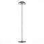 SL6002.405.01 Торшер ST-Luce Черный/Дымчатый LED 1*7W 4000K LAZIO, изображение 3